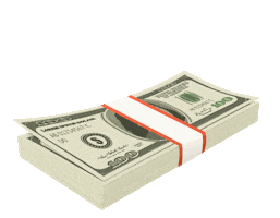 Credit Dolar Sticker by safefinancial