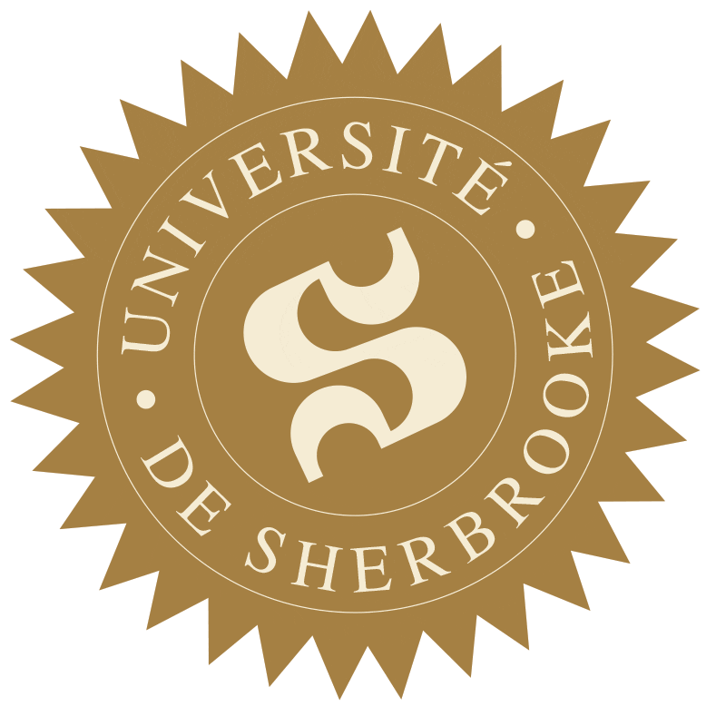 University Graduation GIF by Université de Sherbrooke