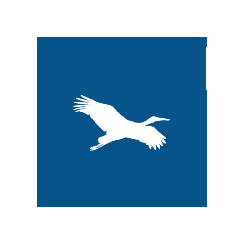 Agenceshuman Sticker by Human Immobilier