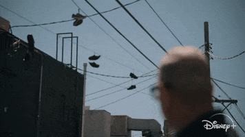 Episode 1 Sneakers GIF by The World According to Jeff Goldblum | Disney+