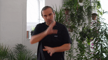 Steven Seagal GIF