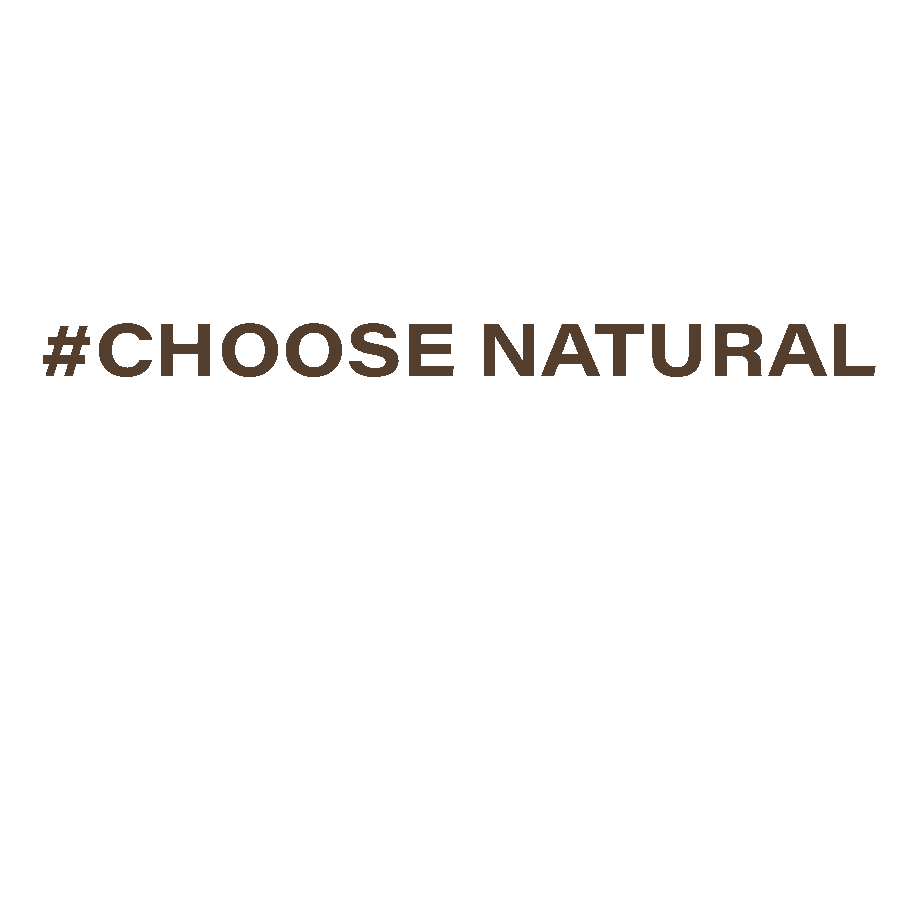 Sunny Lights Sticker