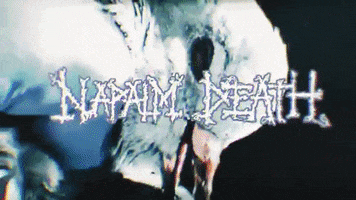 Napalm Death Pigeon GIF by Century Media Records