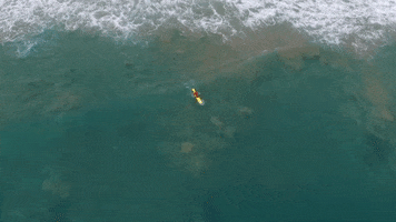 Jetwing Hotels GIF