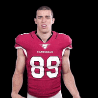Arizona Cardinals What GIF by NFL
