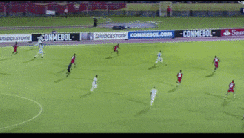 Libertadores GIF