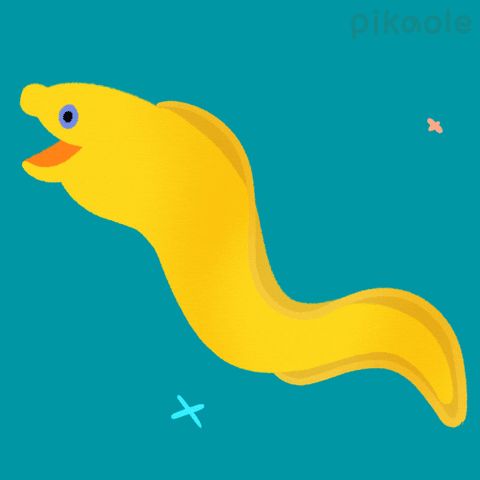 Eel-grass GIFs - Get the best GIF on GIPHY