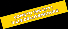 Ville_de_Luxembourg vdl multiplicity villedeluxembourg GIF