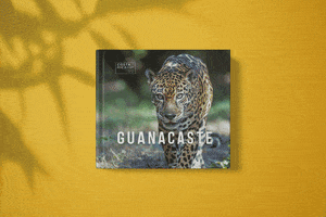 Ojalá Ediciones GIF