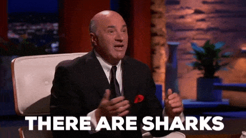 Shark Tank Sharks Gif By Abc Network Find Share On Giphy
