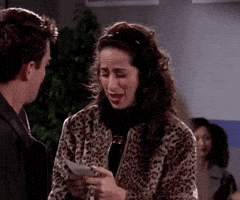 Season 4 Friends GIF
