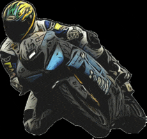 Kawasaki Wss GIF by TellStory
