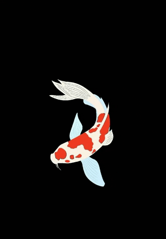 Sea Fish GIF
