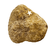 Truffle Tartufo Sticker by Peck Milano