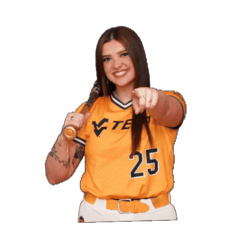 Softball Sticker by WVU Tech Golden Bears