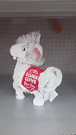 giphy.gif?cid=790b7611c1d5f6005e9851282a
