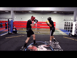 Best Boxing Boots GIF