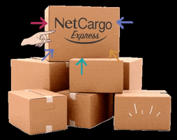 Netcargo Express GIF