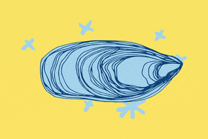 shell oyster GIF by bartacolife