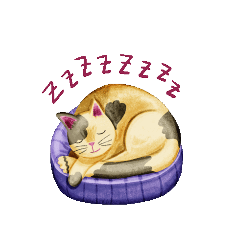 Cat Sticker