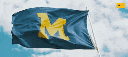Go Blue Michigan Football GIF by Michigan Athletics