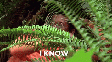 Say That I Know GIF