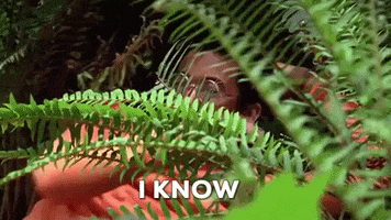 Video gif. A man looks out behind a green fern as he pushes the leaves to the side. Text, "I know."