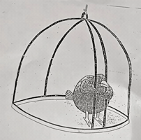Bird Trap GIF