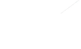 Birthdaysale Sticker by Bella Vita Organic