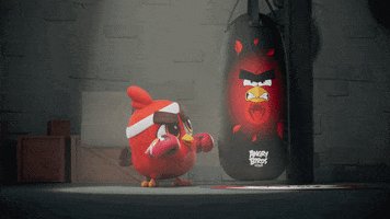 Gym Kicking GIF by Angry Birds