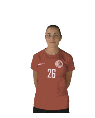 UHC Visper Lions Sticker