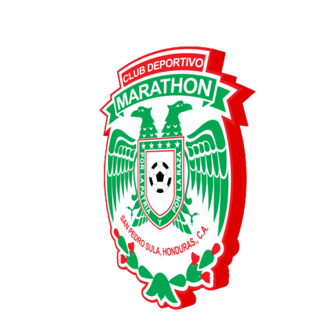 Concacaf League Sticker by Concacaf