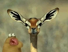chewing eating GIF