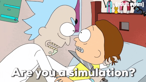 Season 1 Simulation GIF by Rick and Morty