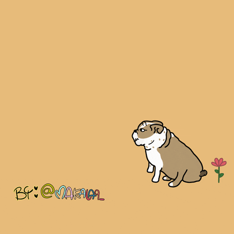 English Bulldog Dog GIF by makala9_