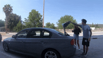 Road Trip GIF