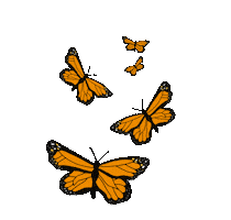 Butterfly Teacher Sticker by Hello Mrs. Harwick