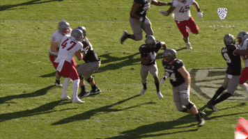 College Football Knockout GIF by Pac-12 Network