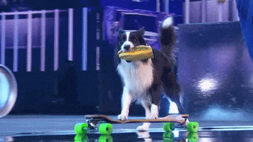 Hungry Americas Got Talent GIF by Got Talent Global