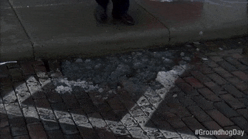 Bill Murray Puddle GIF by Groundhog Day