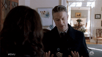 Dominick Carisi GIF by Law & Order