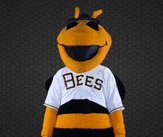 SaltLakeBees baseball bee bees finger guns GIF