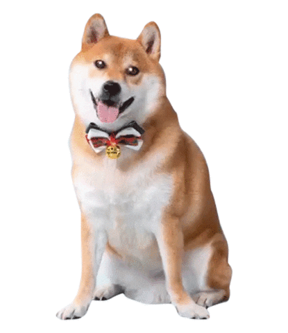 adlibfashion Sticker