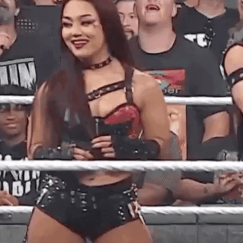 Wwe Sh GIF