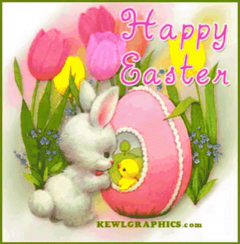 Bunny GIF