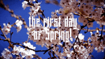 Flowers Spring GIF by Four Rest Films