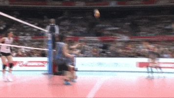Happy In The Air GIF by Volleyball World
