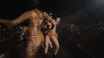 Beyonce Queen GIF by Coachella