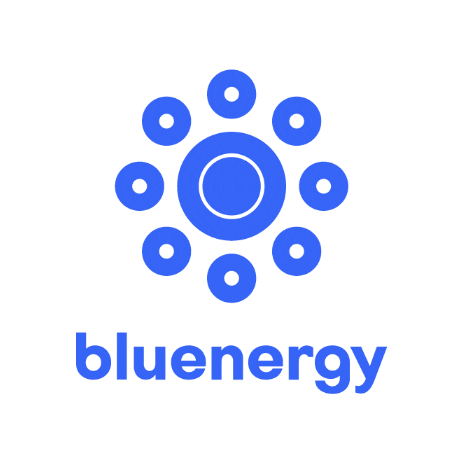 Bluenergysolar Sticker
