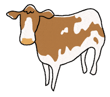 Cow Sticker by MASTERPIECE | PBS